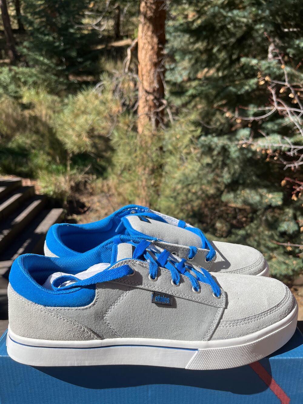 NEW Etnies Nathan William Brake Ortholite Skate Gray Blue Shoes Men's 10.5